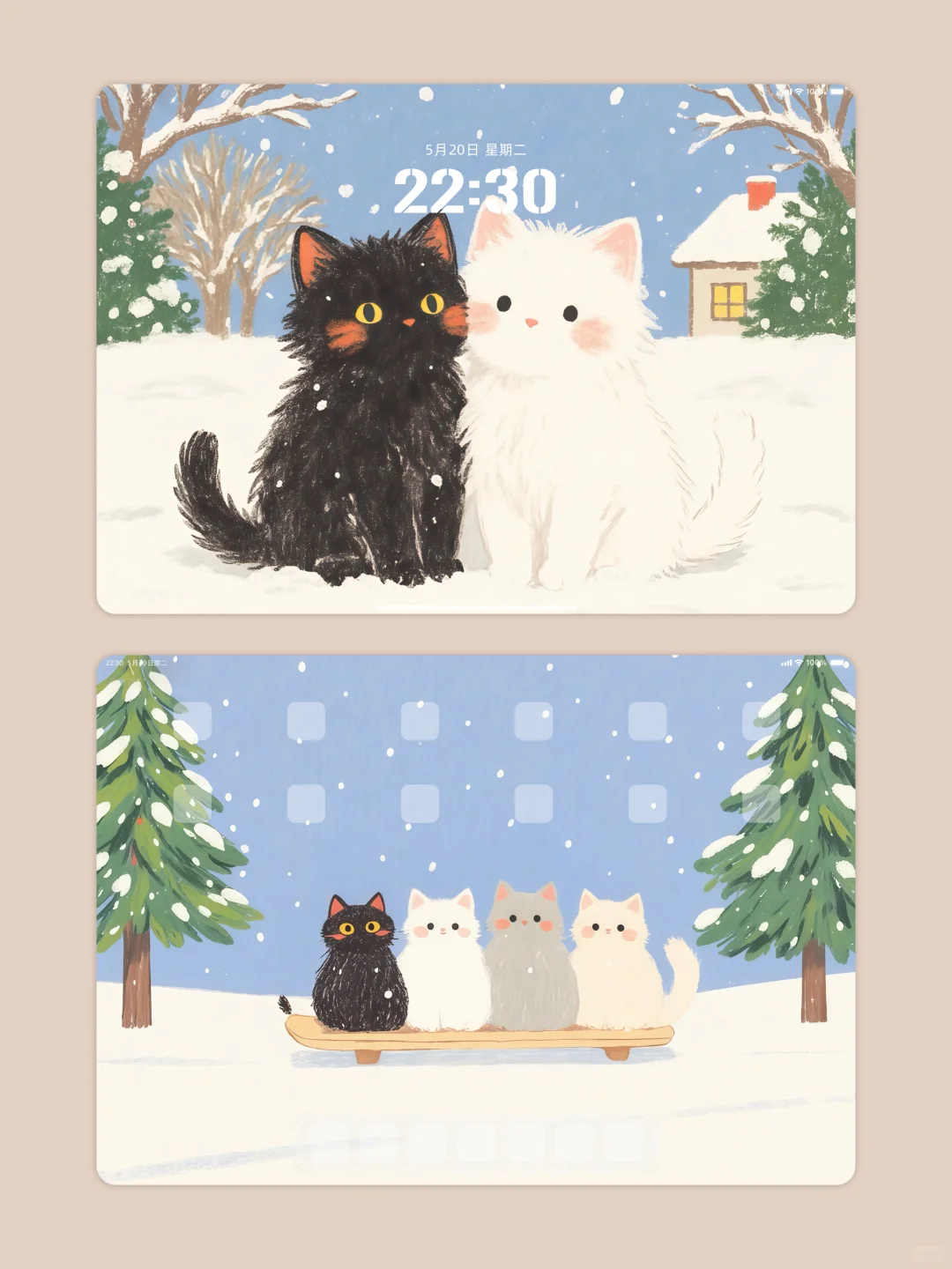 iPad平板壁纸•横竖通用 | 可爱猫咪•滑雪❄️