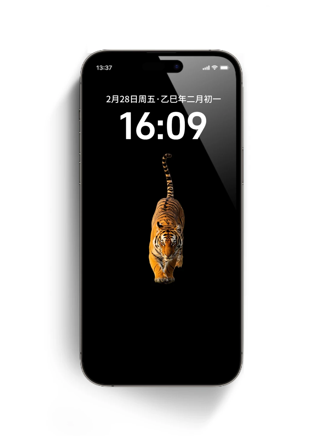 壁纸｜每日高清