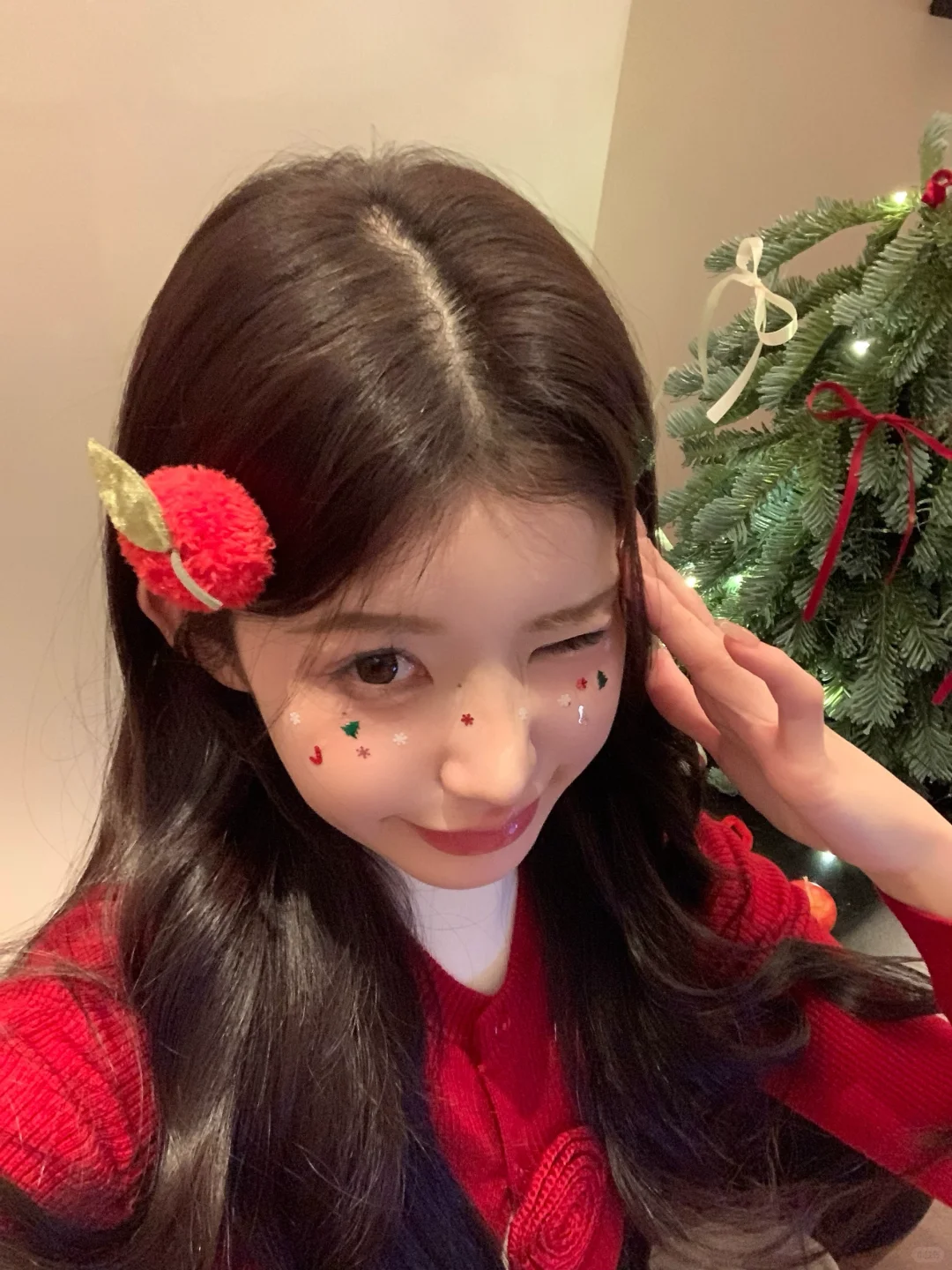 🎄. 𓂂𓏸 萌物˖⁺～.✨