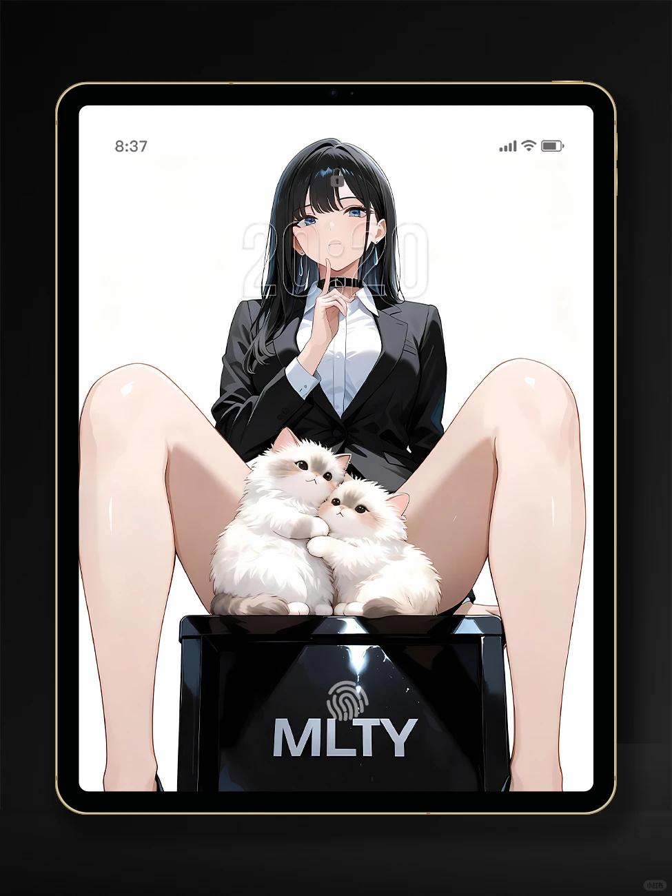 美少女和猫咪的4K壁纸，超赞！