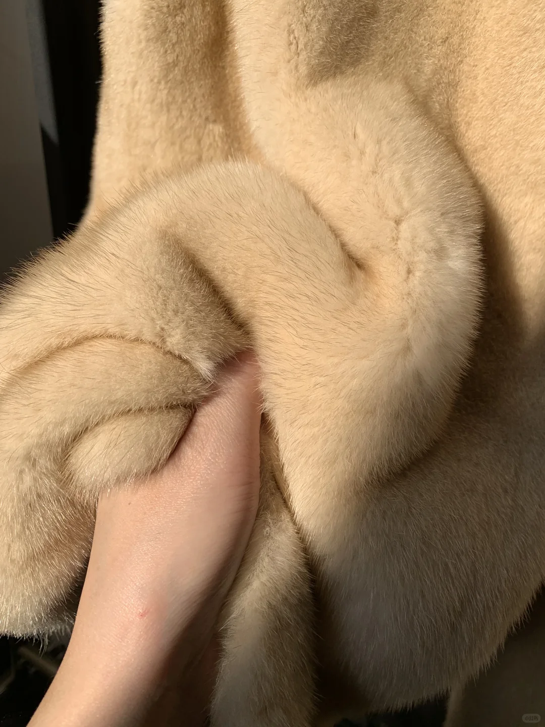 30年梦寐以求的珍宝貂 终于做出来了