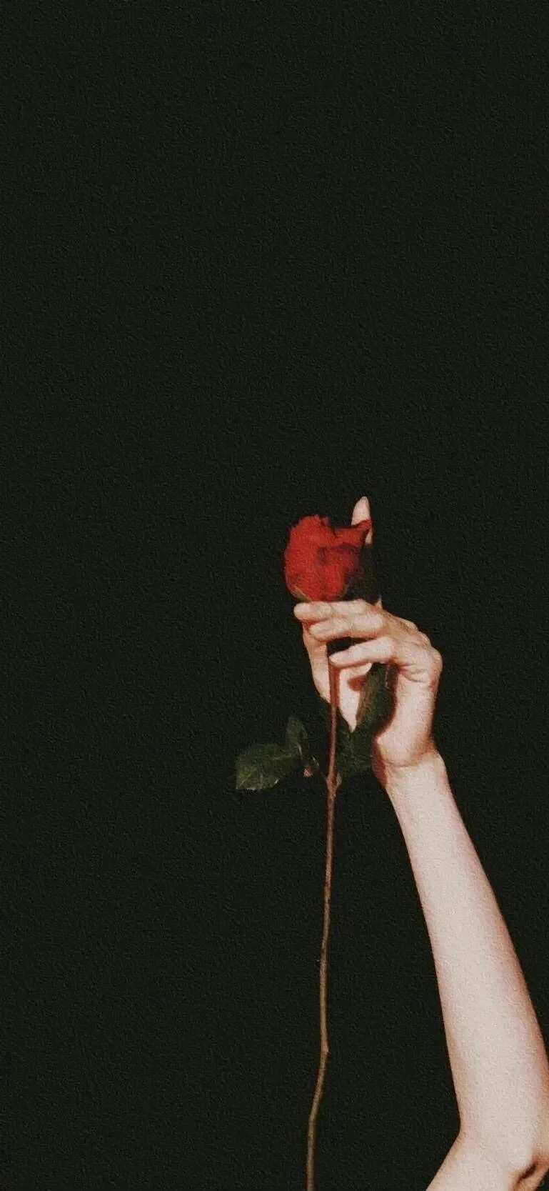 𝙒𝙚𝘾𝙝𝙖𝙩｜ins小众高级感手机壁纸📱