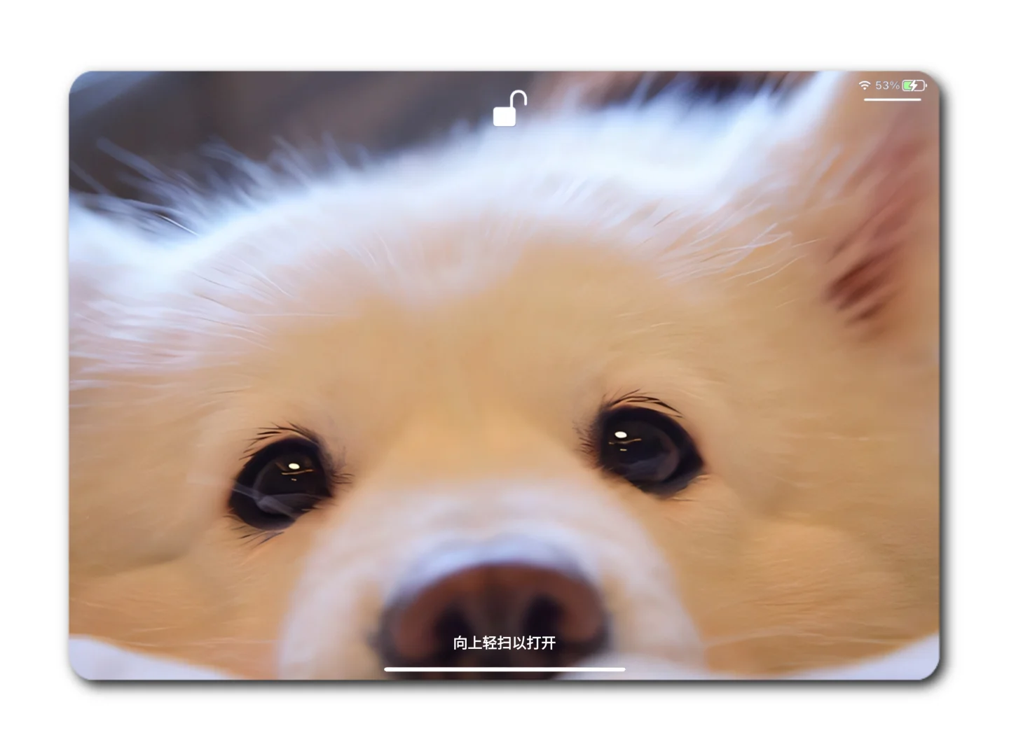 wallpaper｜ipad/电脑壁纸