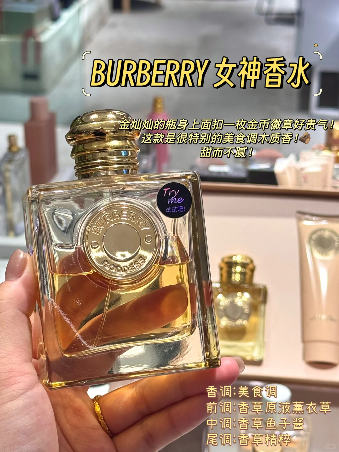 就是它‼️招财香💰💰💰