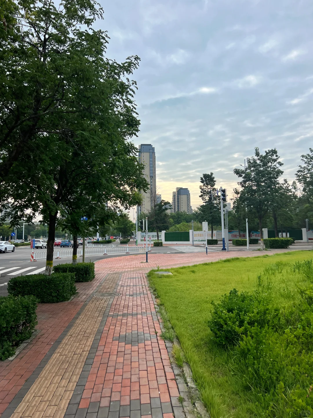 夏天 晨跑🏃‍♀️