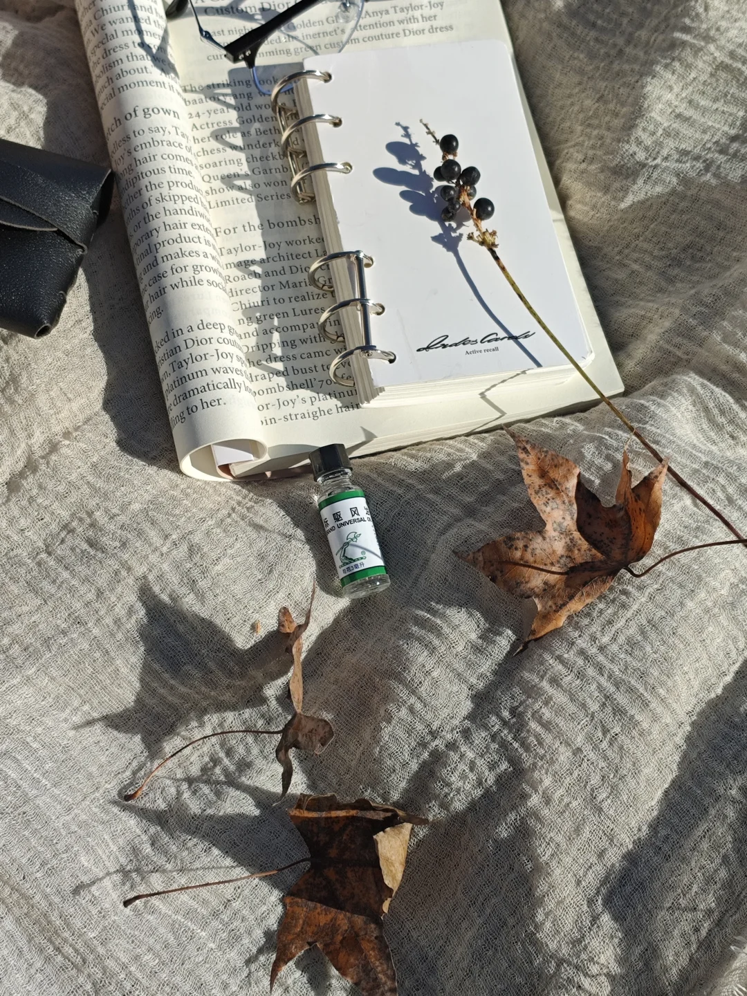 游动物园，别人家是小天使，我家叛逆奥特曼