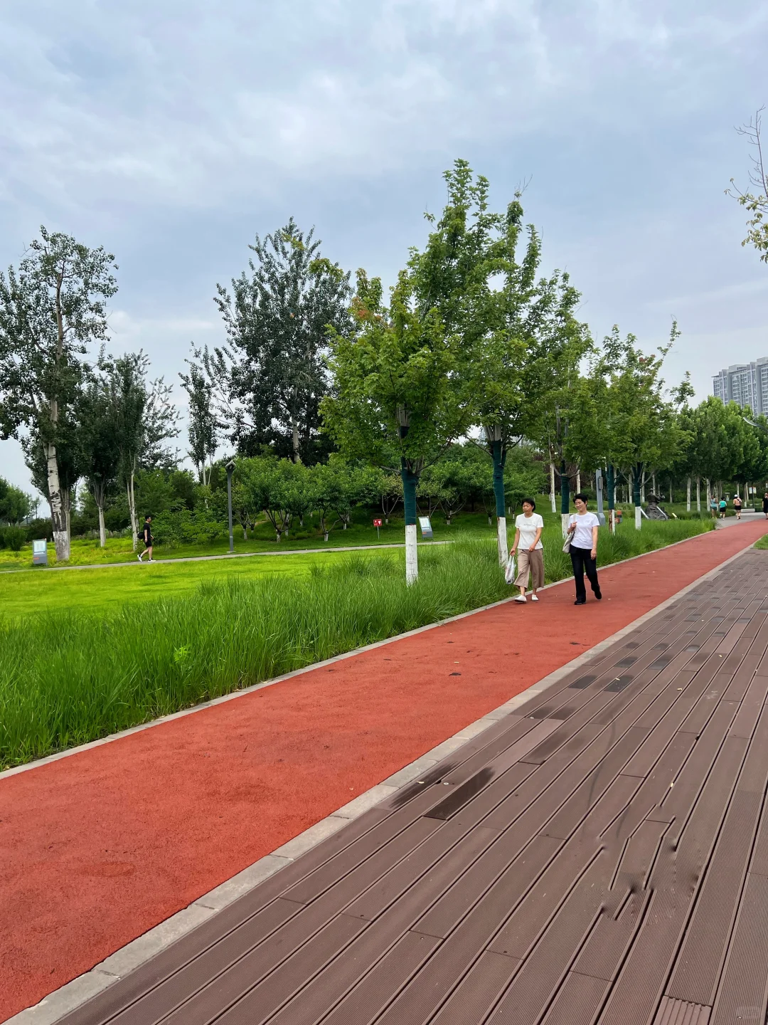 夏天 晨跑🏃‍♀️