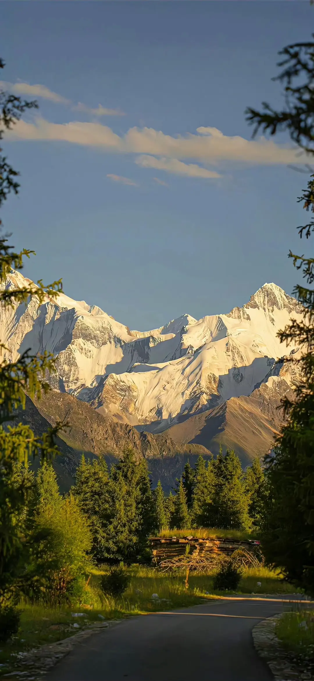 ✨高清壁纸｜背景图 琥珀鎏金
