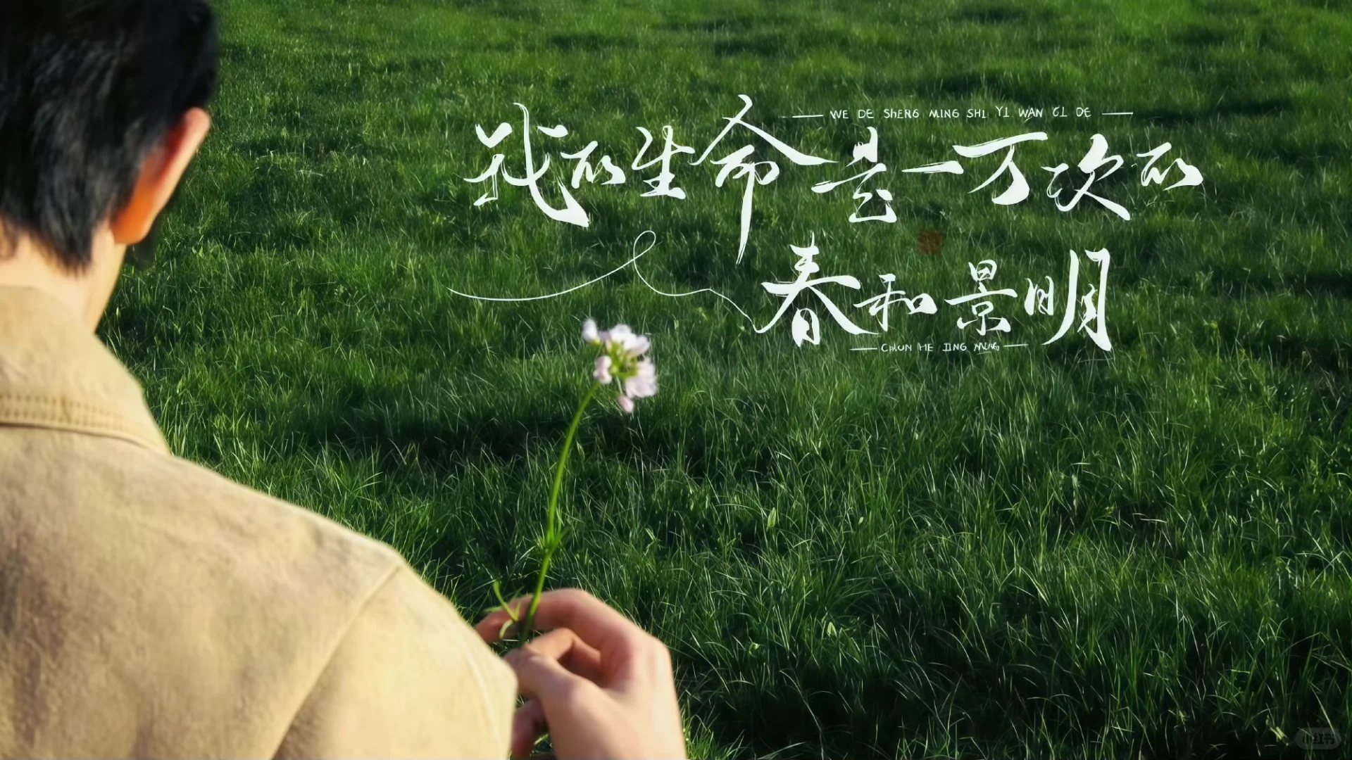 易烊千玺 iPad 电脑壁纸