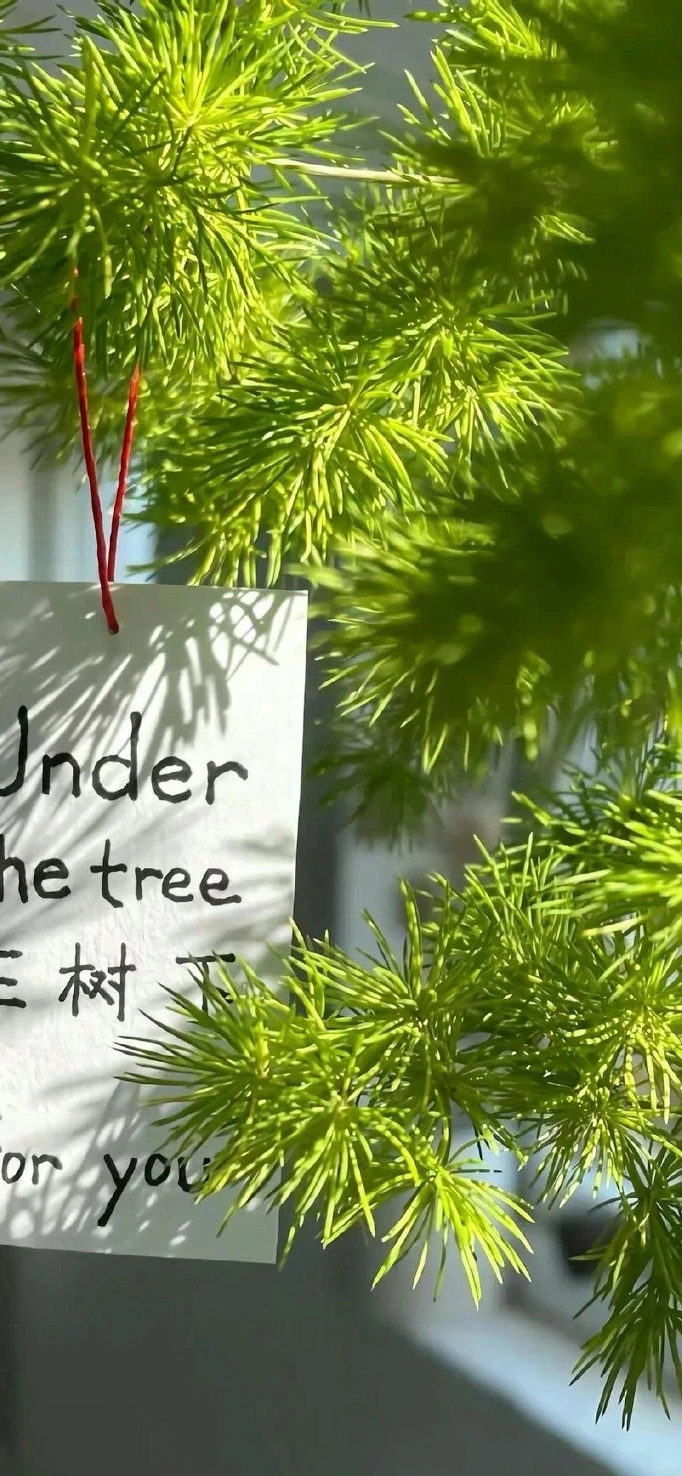 小众背景图/治愈系