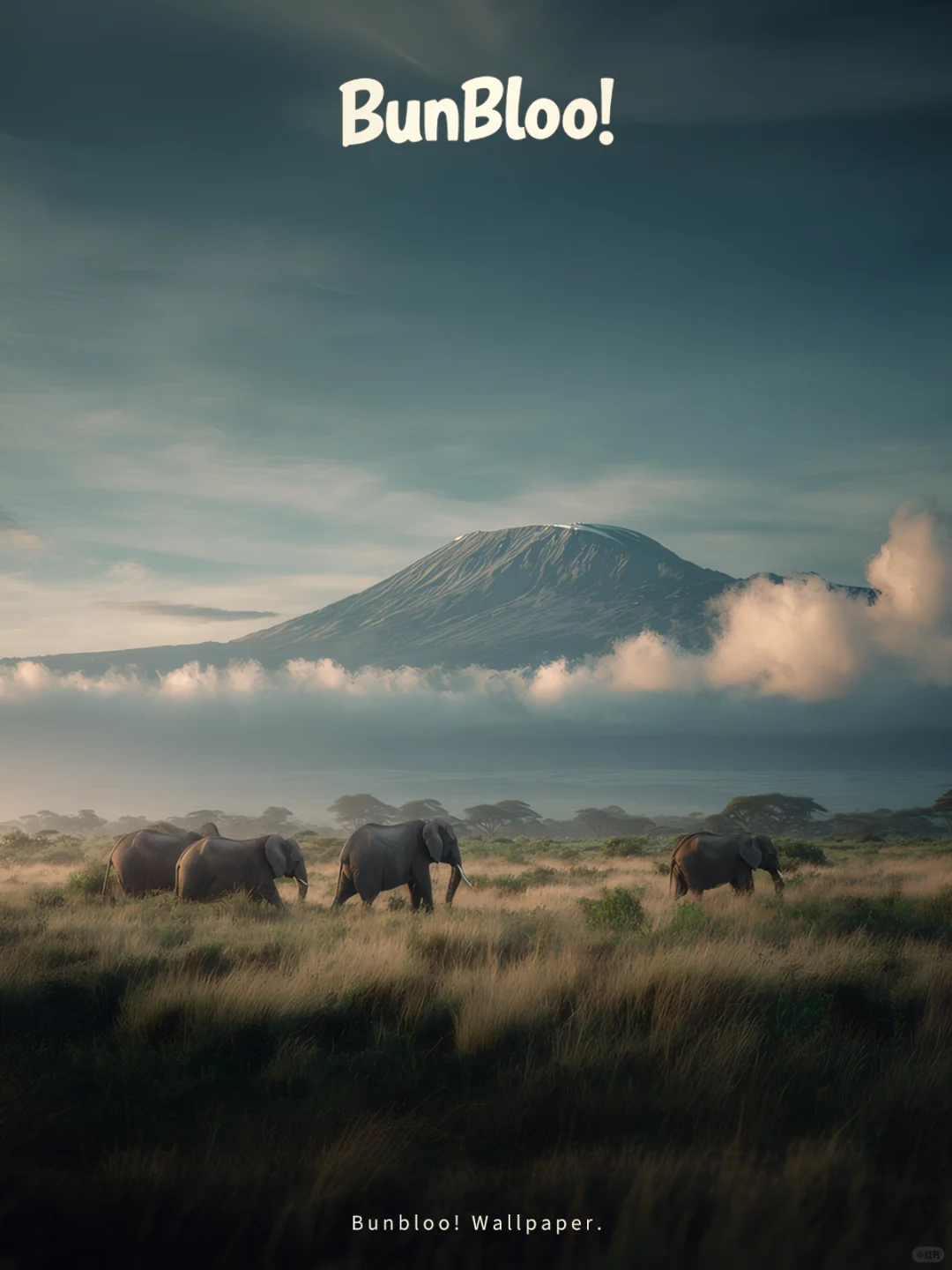 大象和火山，真的好美啊！｜114