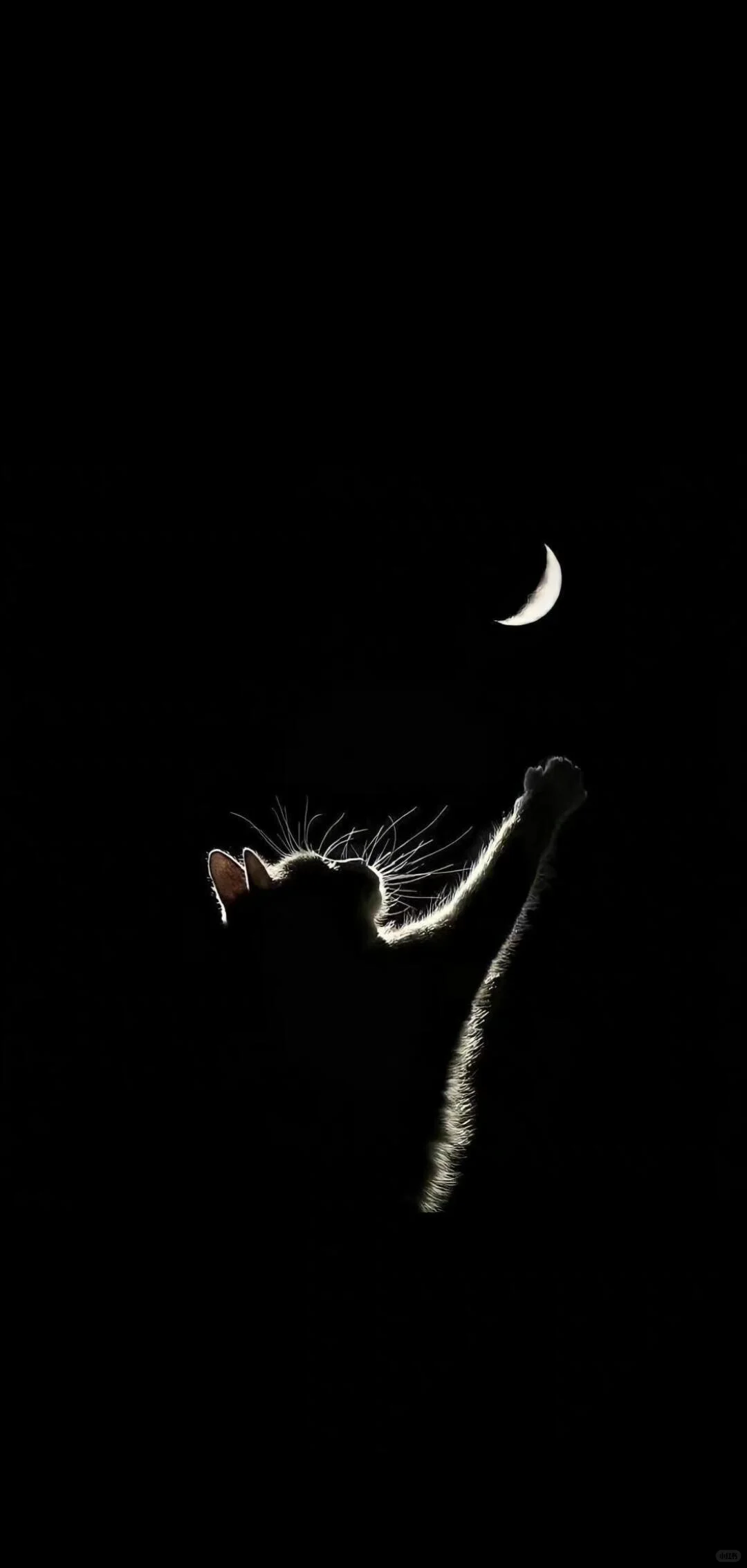 𝙒𝙚𝘾𝙝𝙖𝙩｜ins小众高级感手机壁纸📱