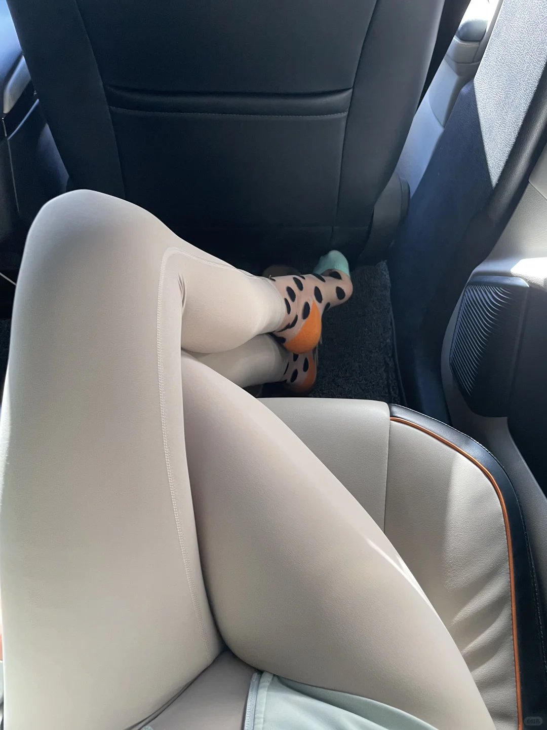 🐶可爱小狗🐶