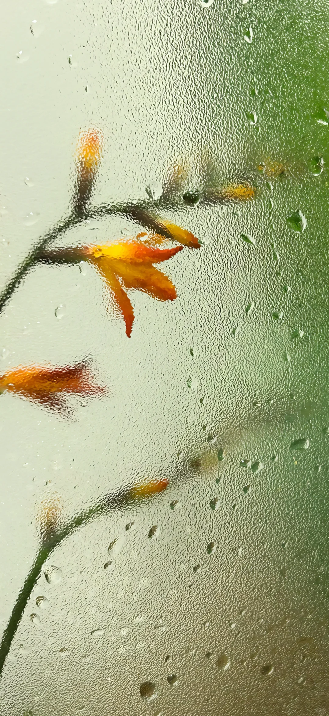 最喜欢的壁纸｜最美壁纸251121