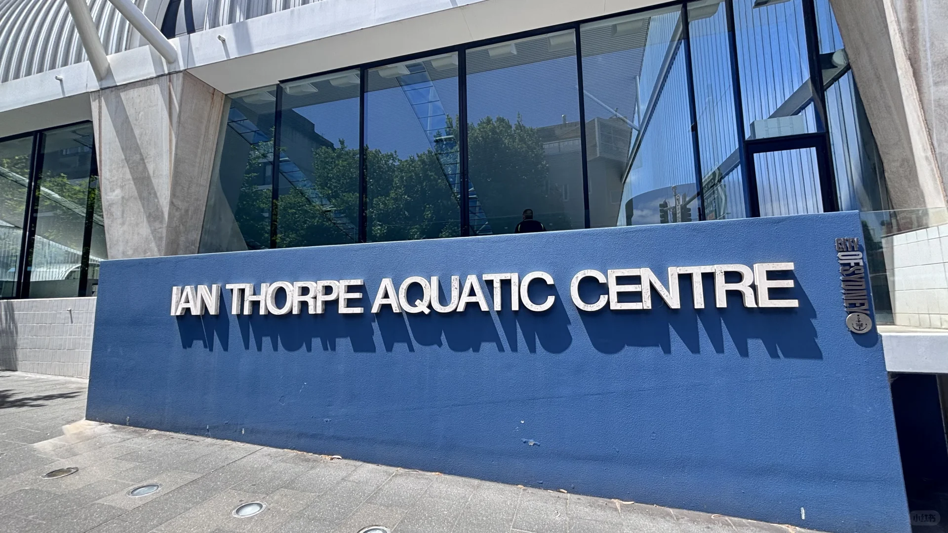 在悉尼做游泳教练，我都发现了什么？🤔