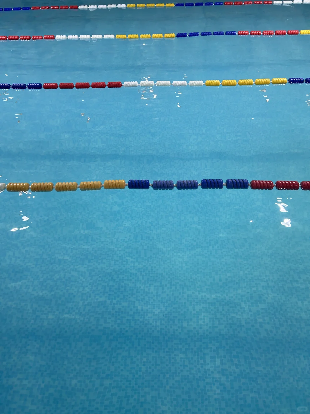 成人想学游泳的，听劝～