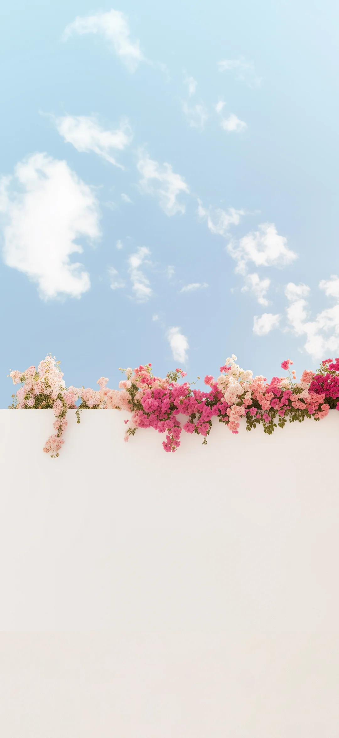 真的不小心删了，永远爱花花天空的壁纸