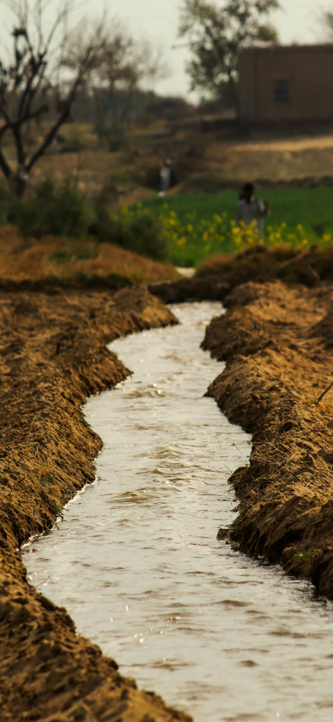12张高清小众全屏壁纸