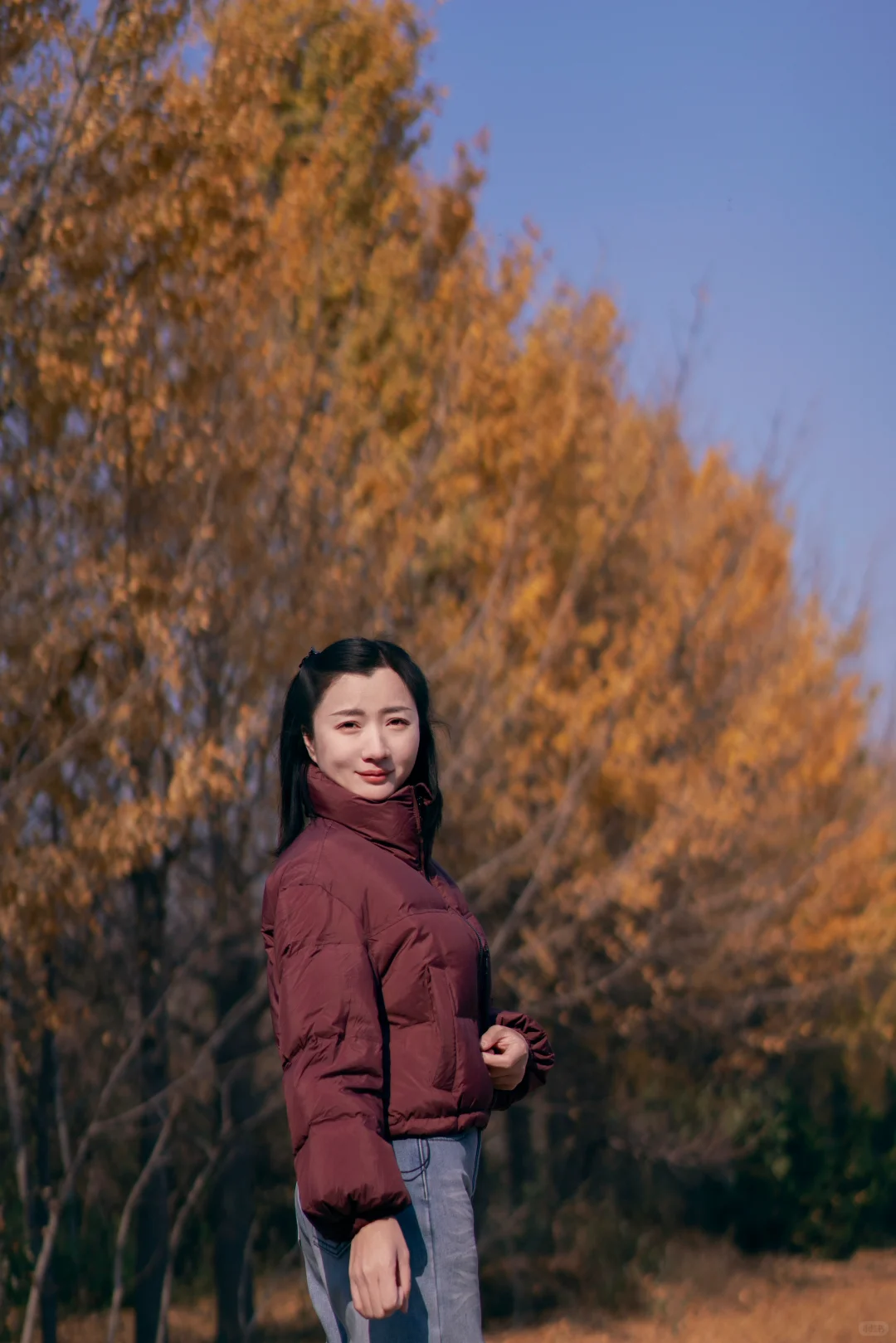 初冬的银杏格外迷人，你拍了吗？