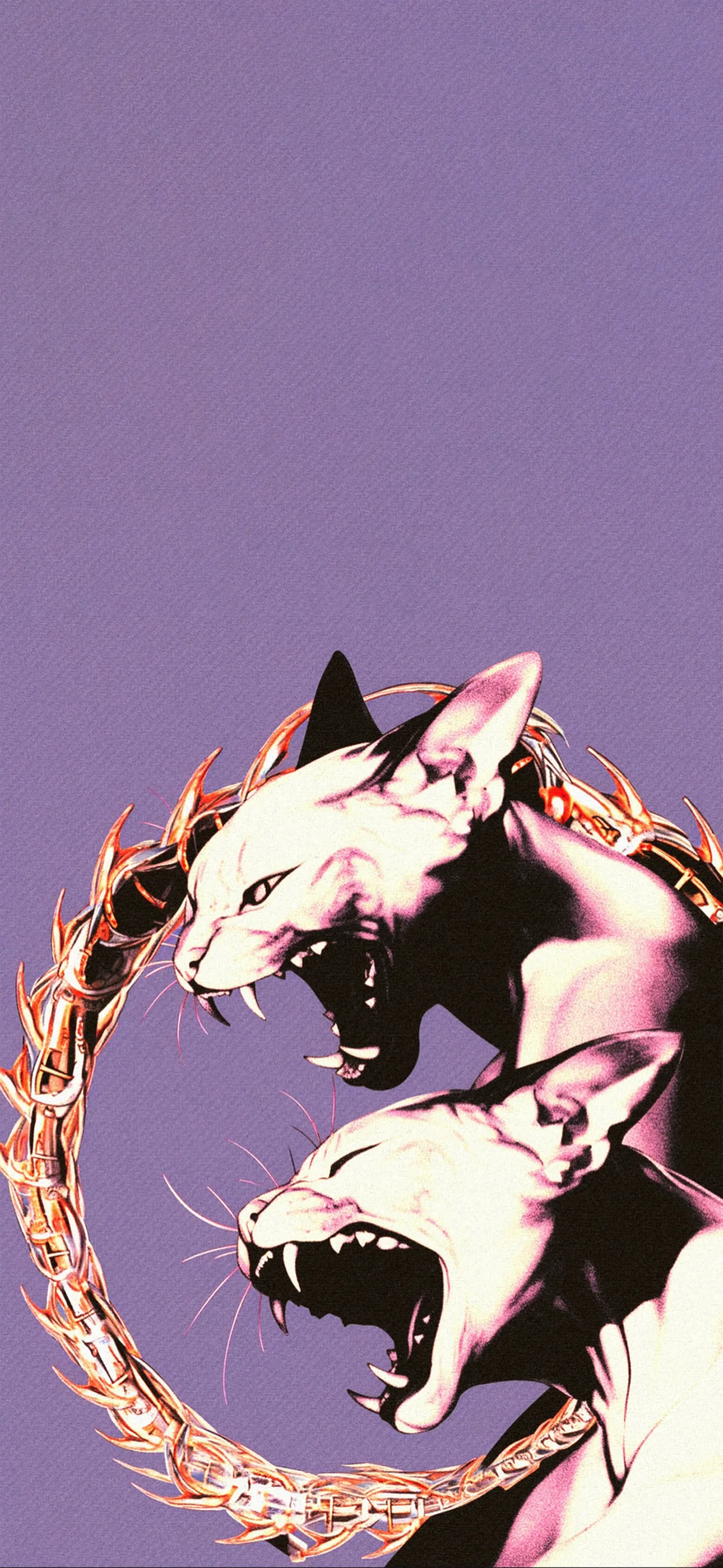 visual feast｜锁屏壁纸