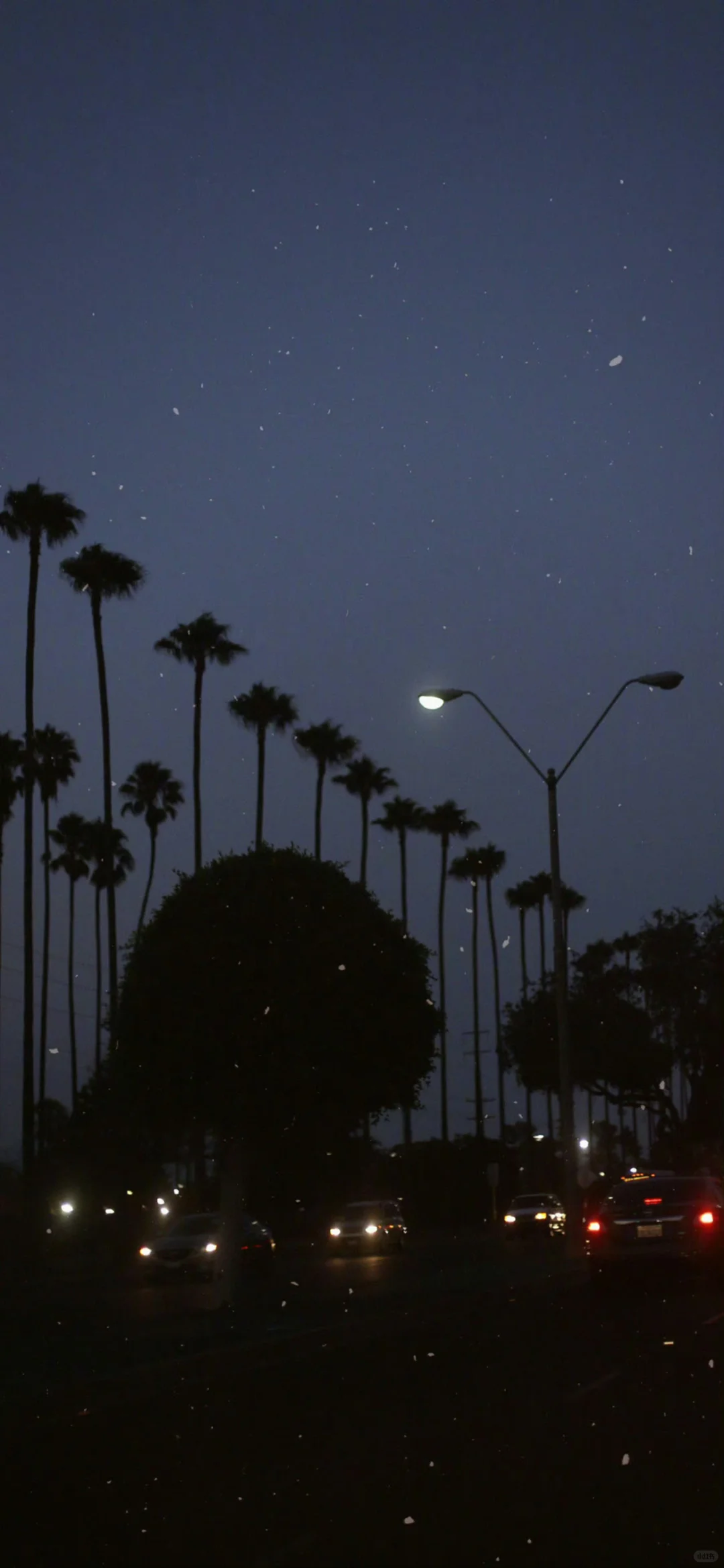 一组及其小众的壁纸