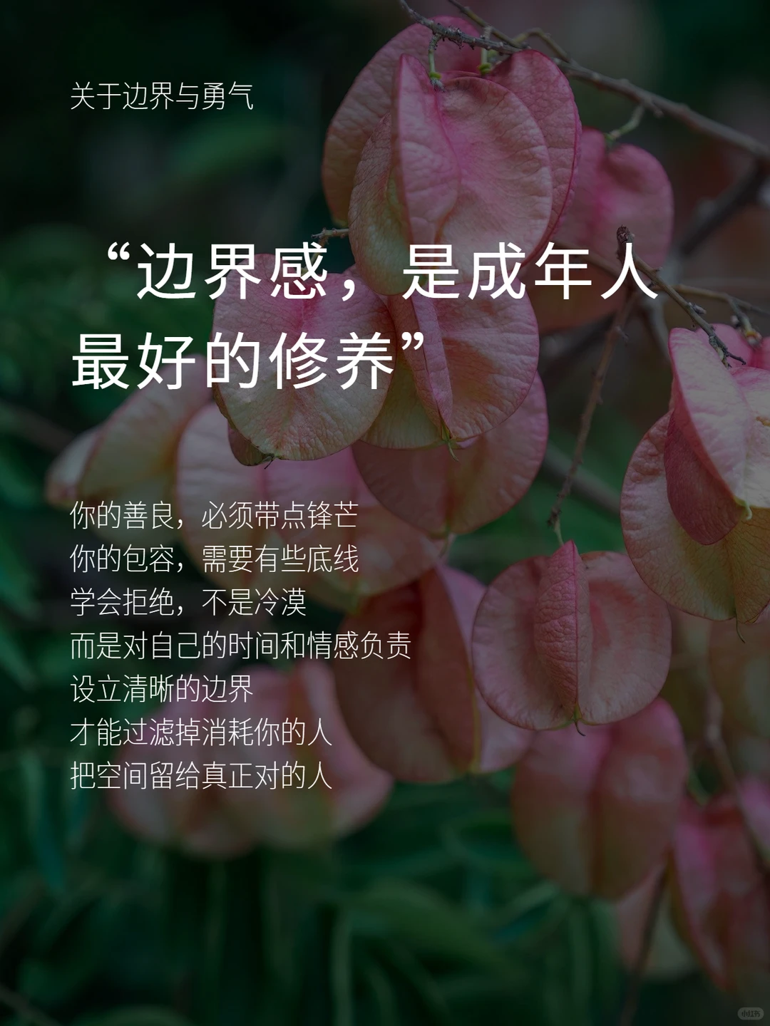 女性顶级魅力：温柔的力量，源自内核稳定