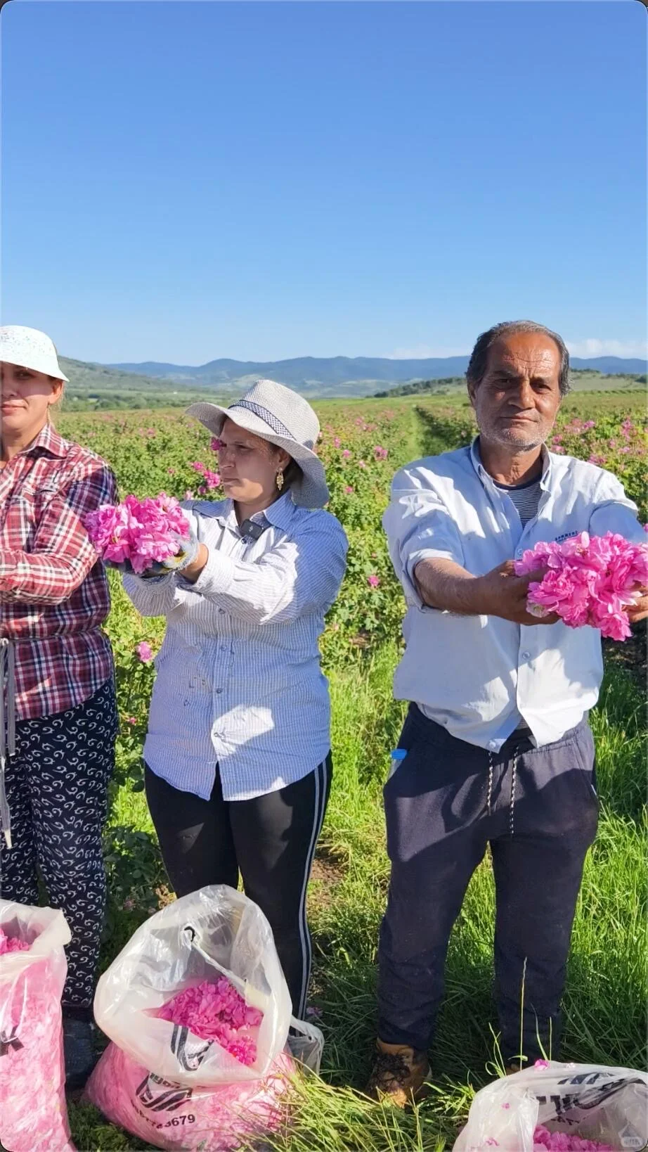 跟着女明星喝玫瑰露，想不变美都难🌹