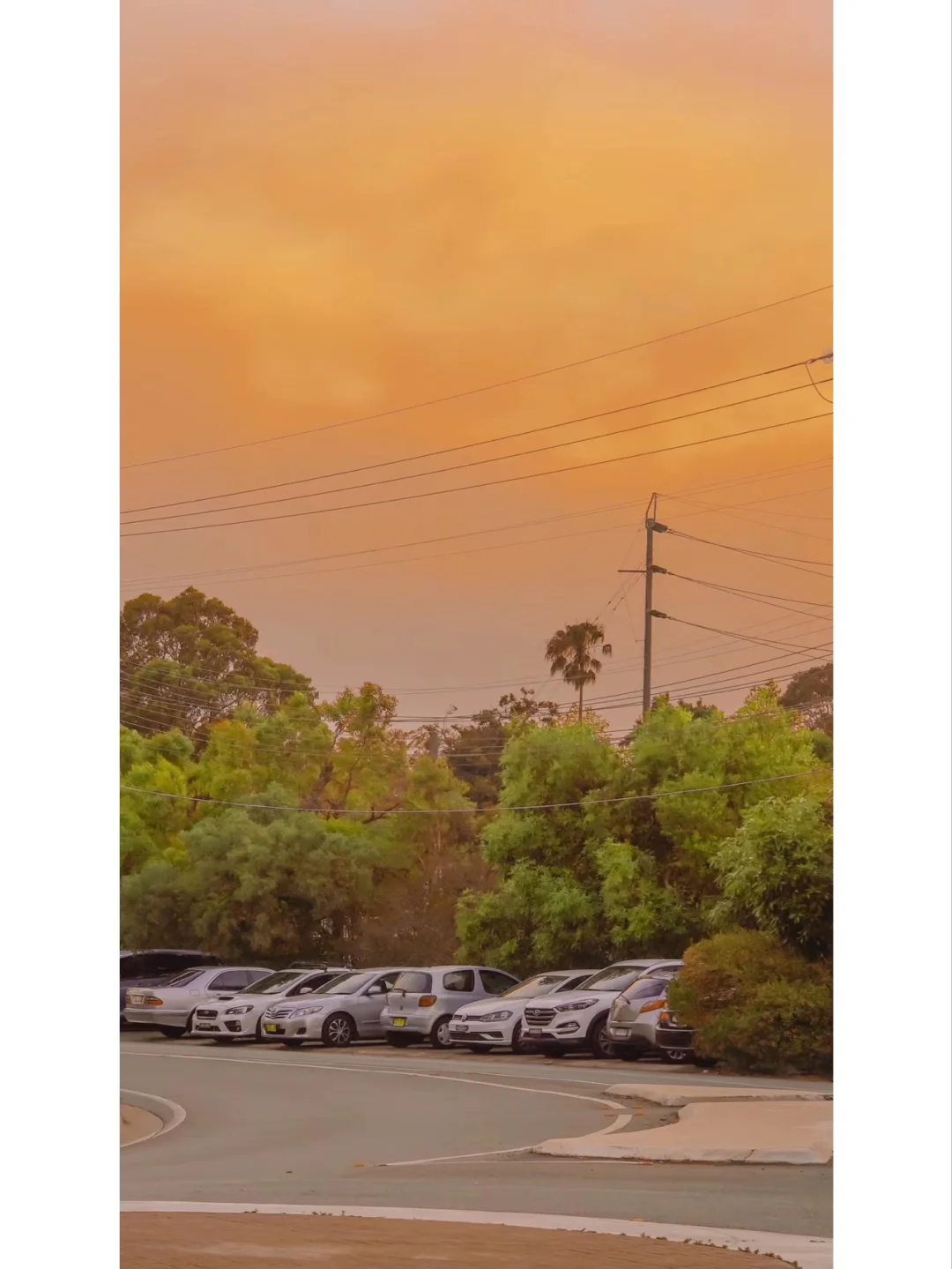 私藏壁纸｜黄昏🌆系列