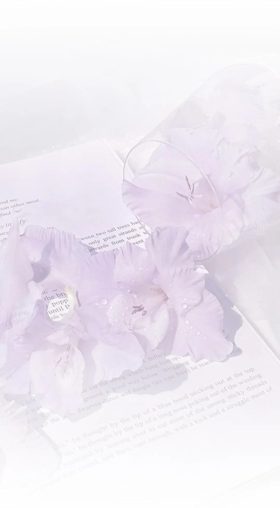 Wechat｜新壁纸！好喜欢！好喜欢！