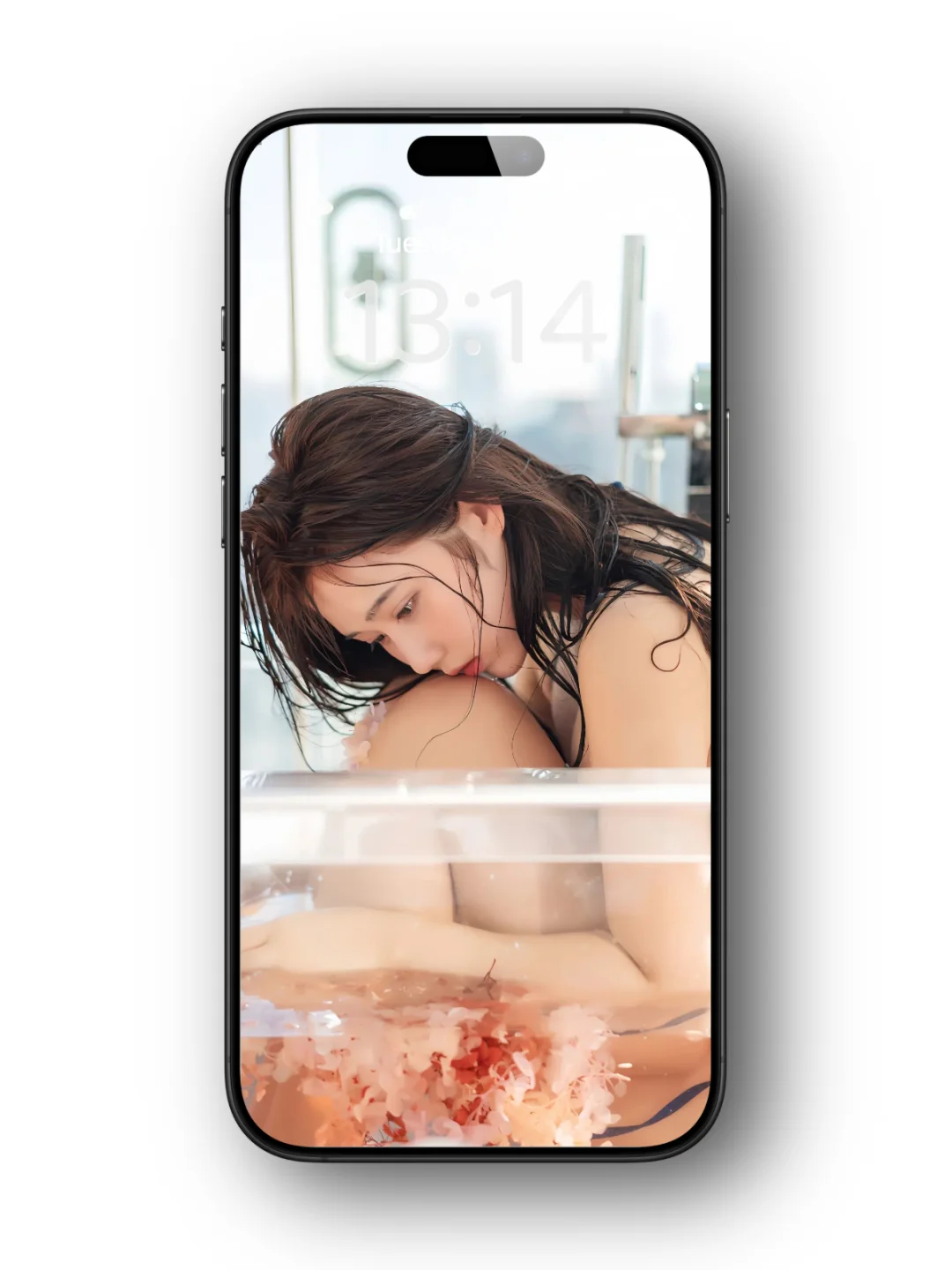 是在找他吗？壁纸在这里！