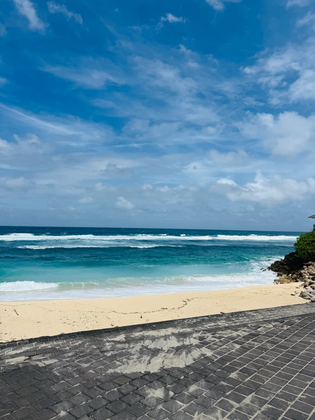 ⌇𓇼海の味🐚