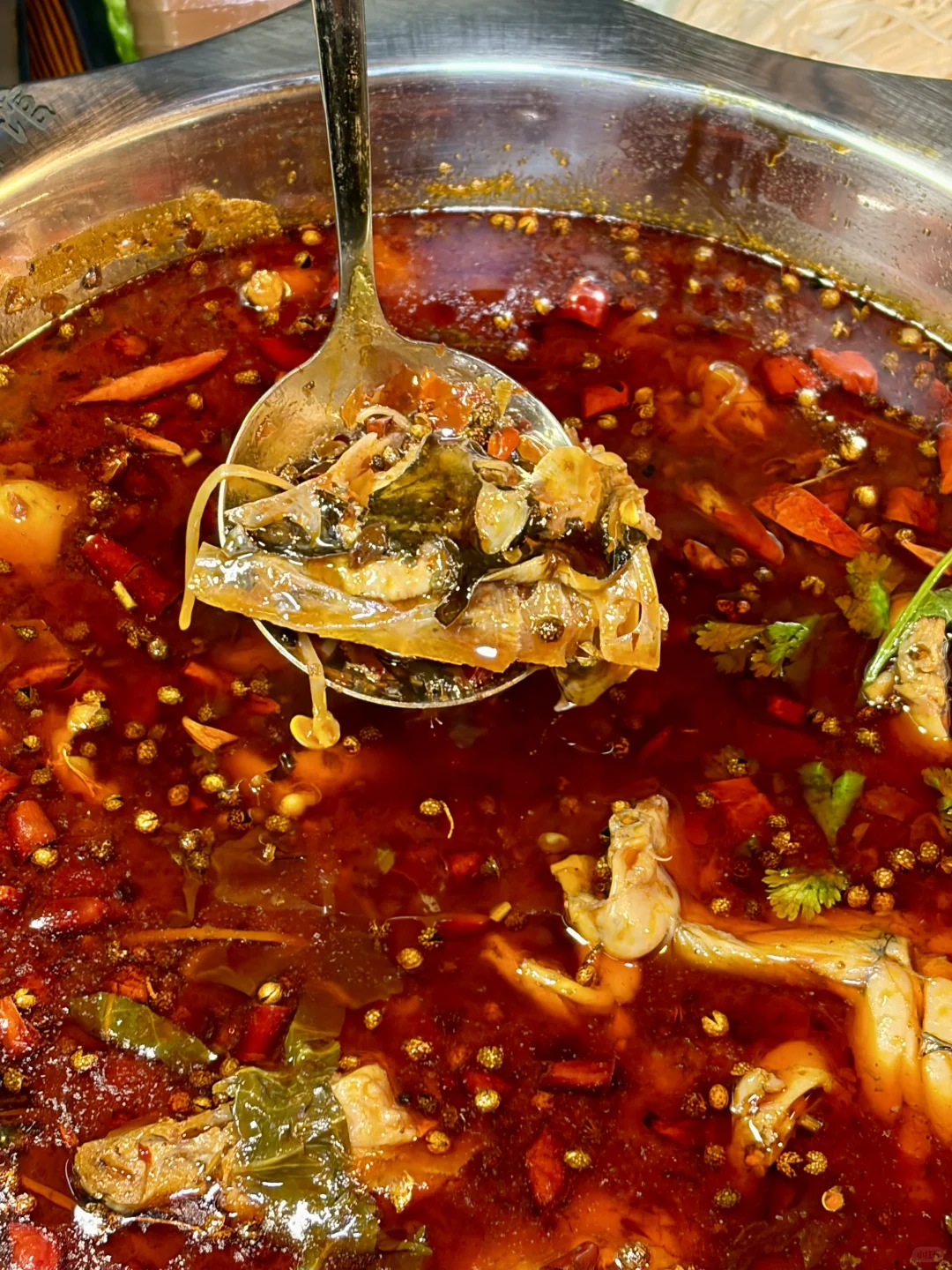 柳州辣妹都来吃这个蛙❗❗很够味❗❗