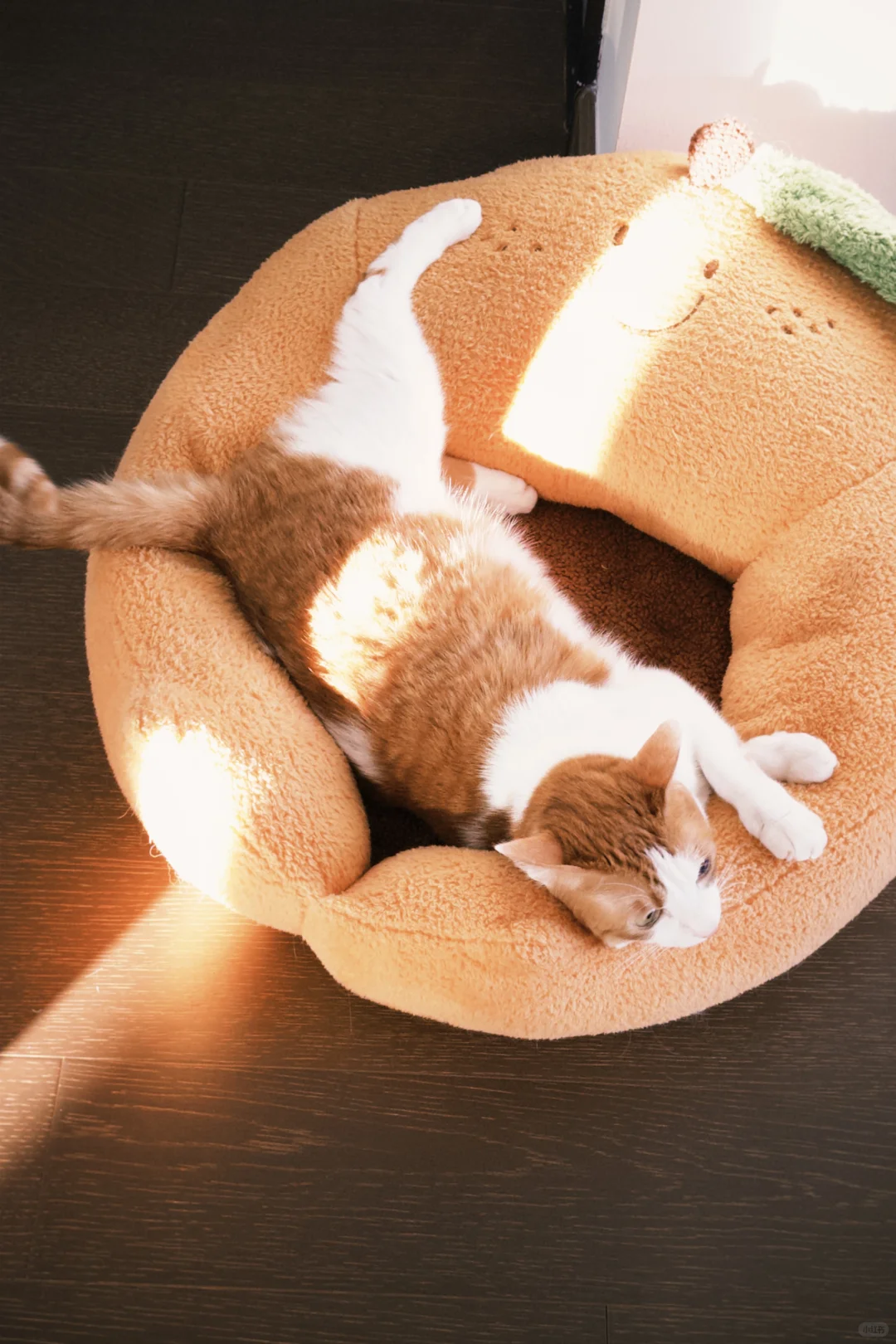 屎黄色嫩模太出片了