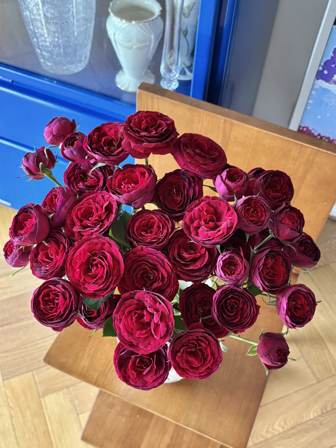 是开炸的红蕾丝啊