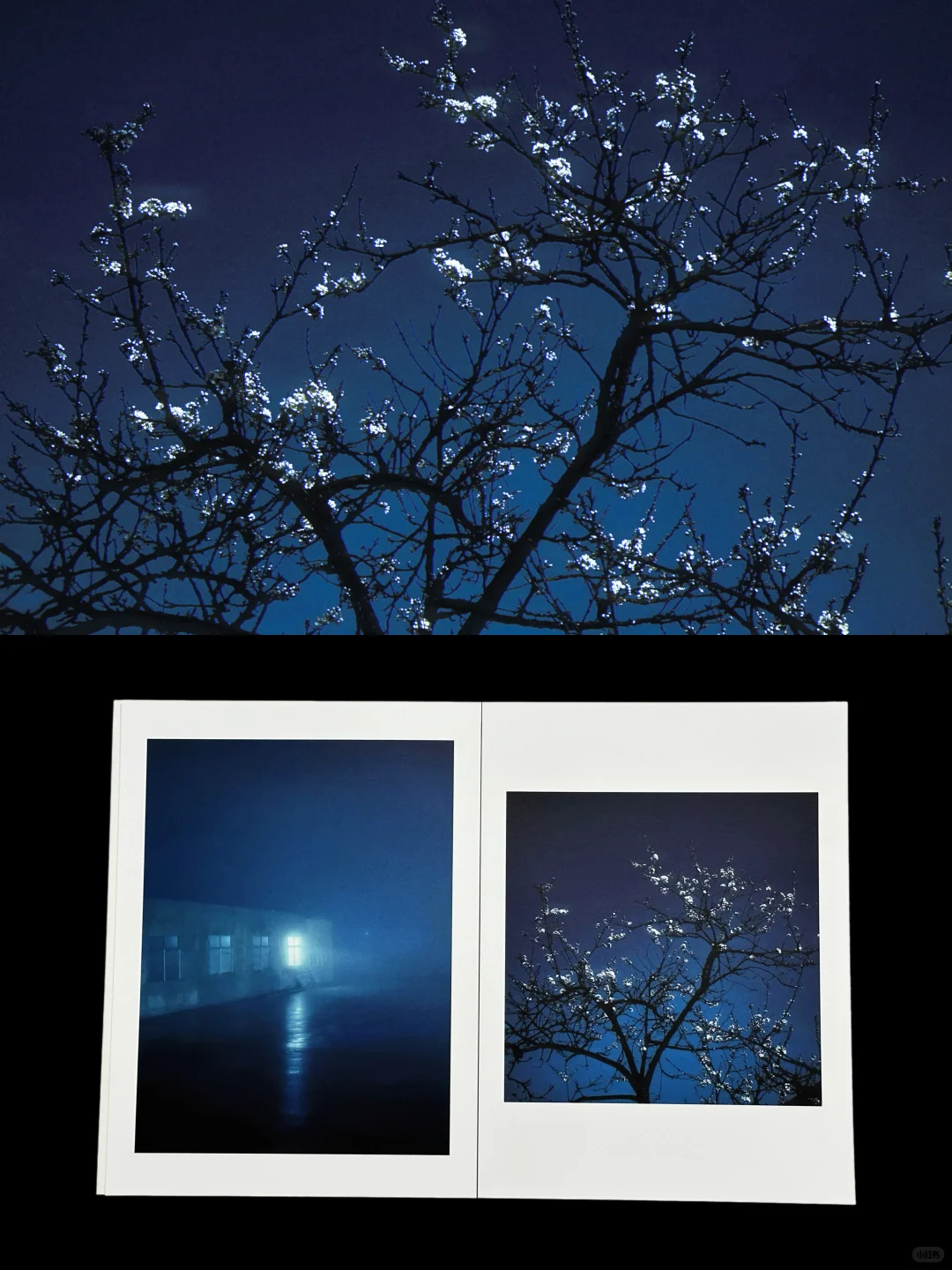 我的第一本摄影集｜在我的想象中