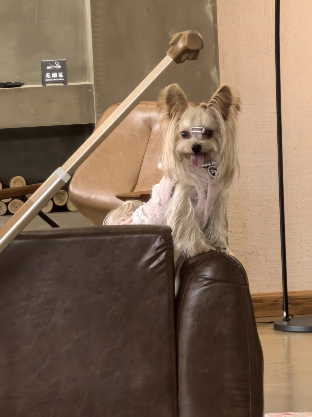 温暖牌小香风衣服，帮宝宝们实现穿衣自由6