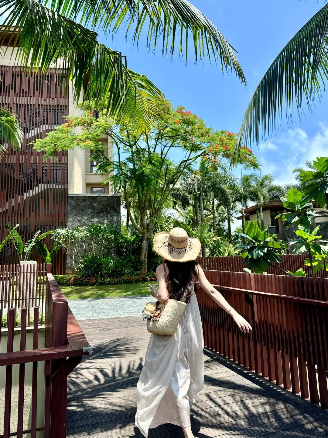 穿梭在热带雨林🌴