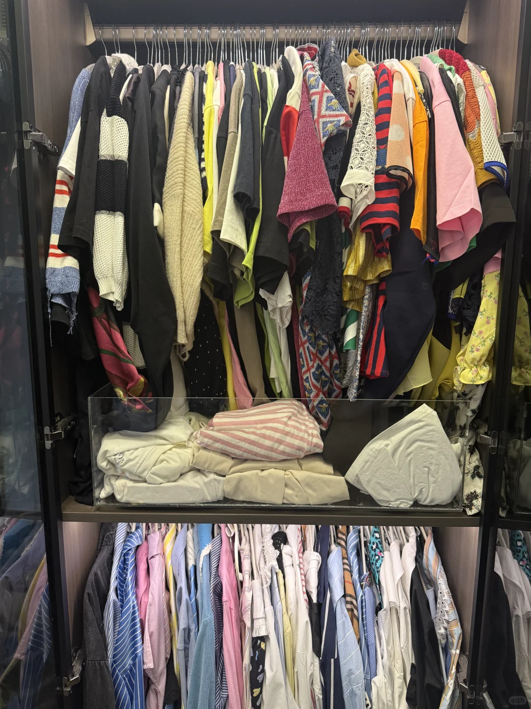 2.9号断舍离之扔了65件夏天的衣服