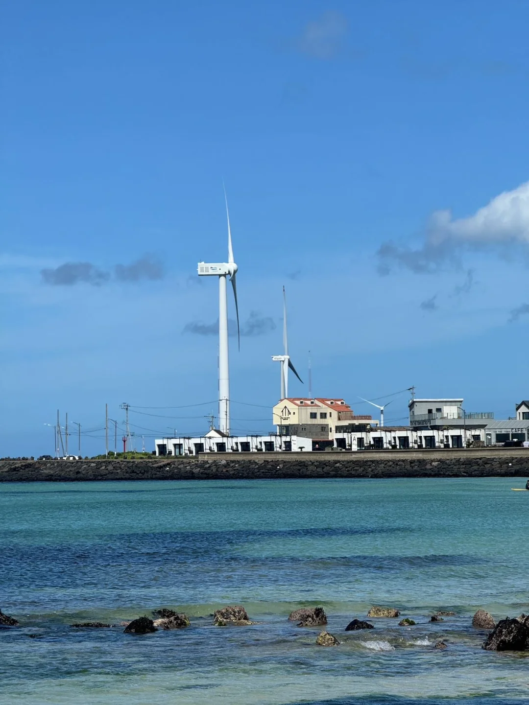 冬天过腻了想过夏天啦