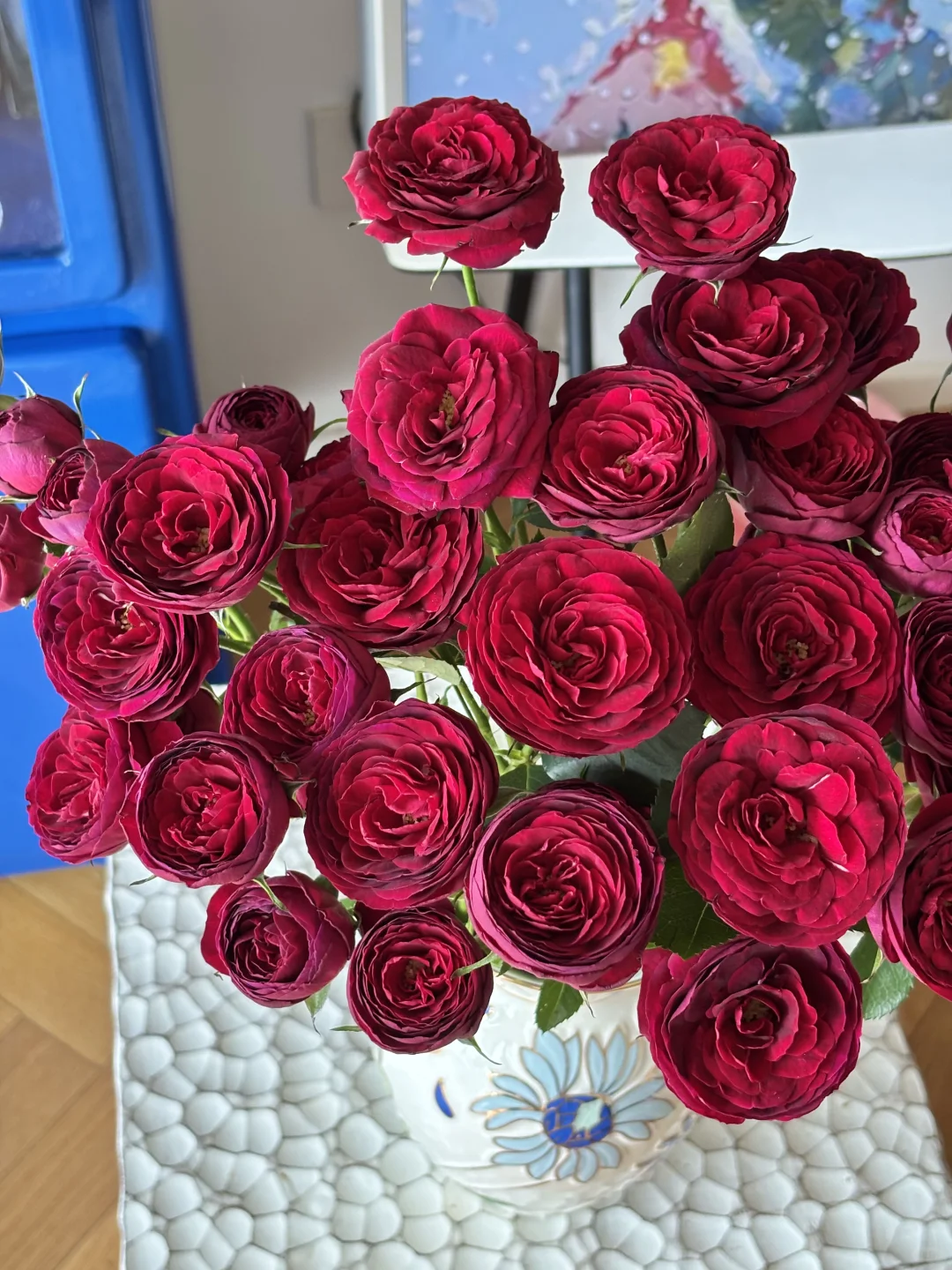 是开炸的红蕾丝啊