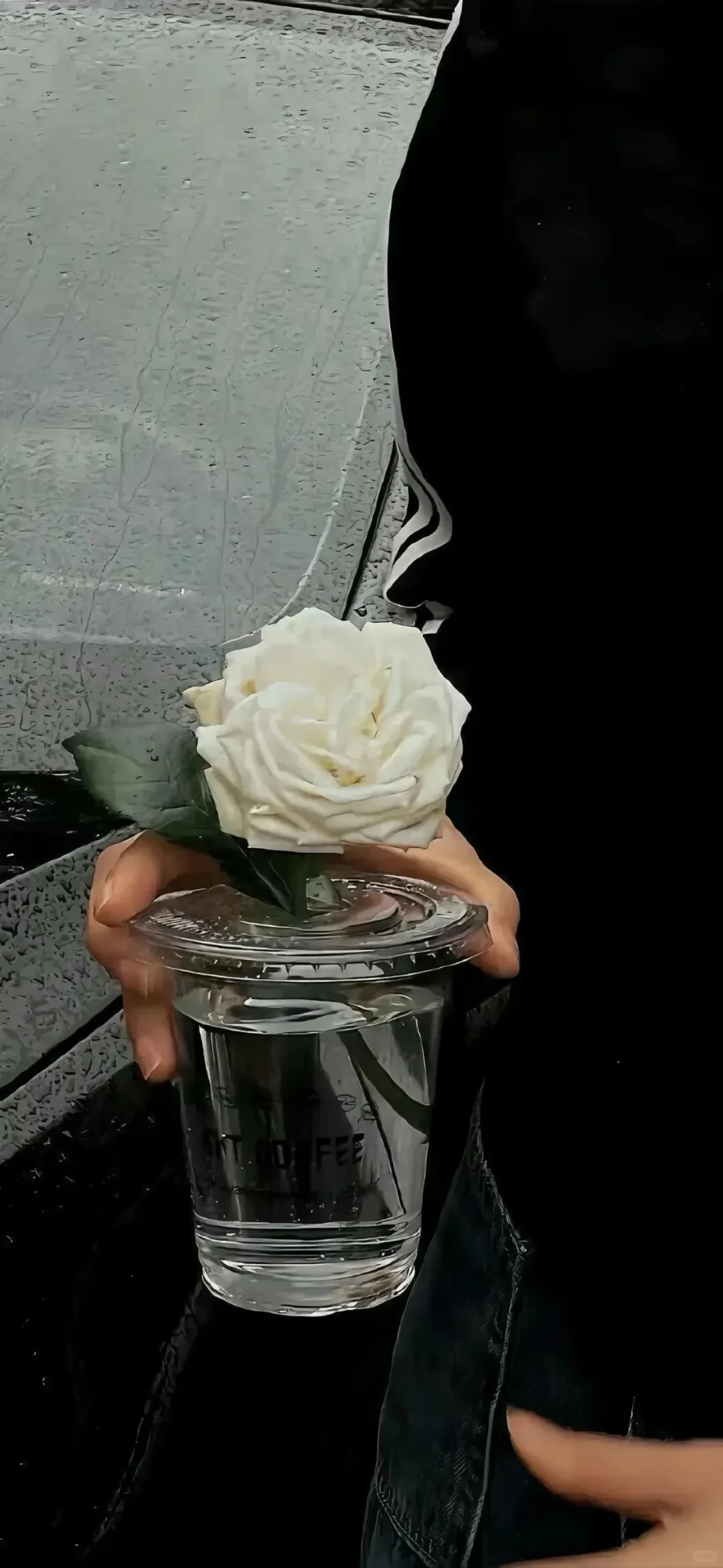 📱暗黑系|超高清壁纸分享