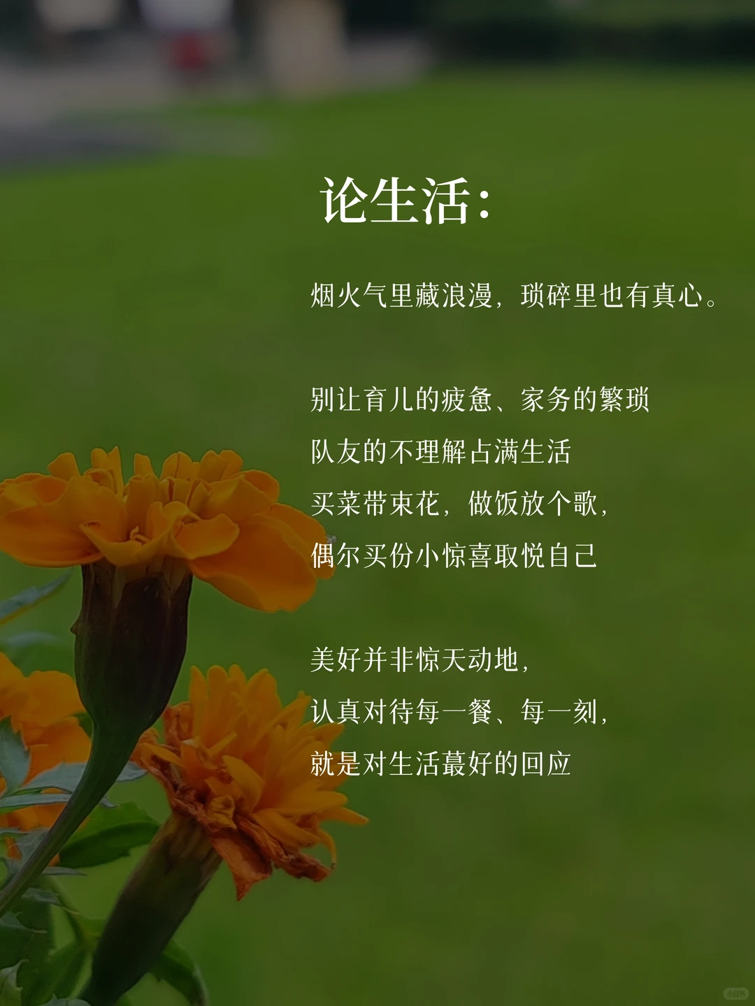 35岁，做一个心态很绝的中年少女