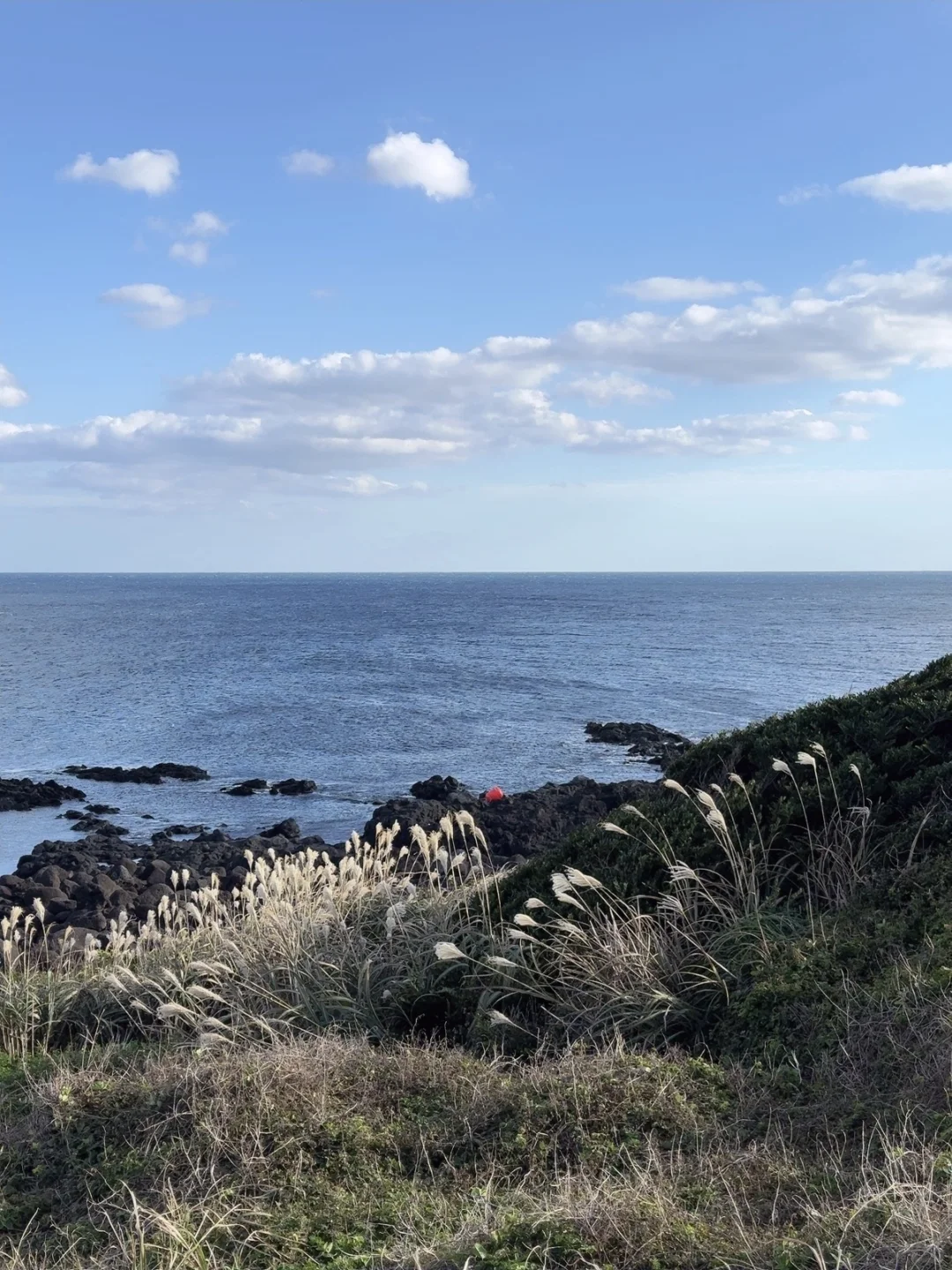 jeju memo🪨吹吹海风