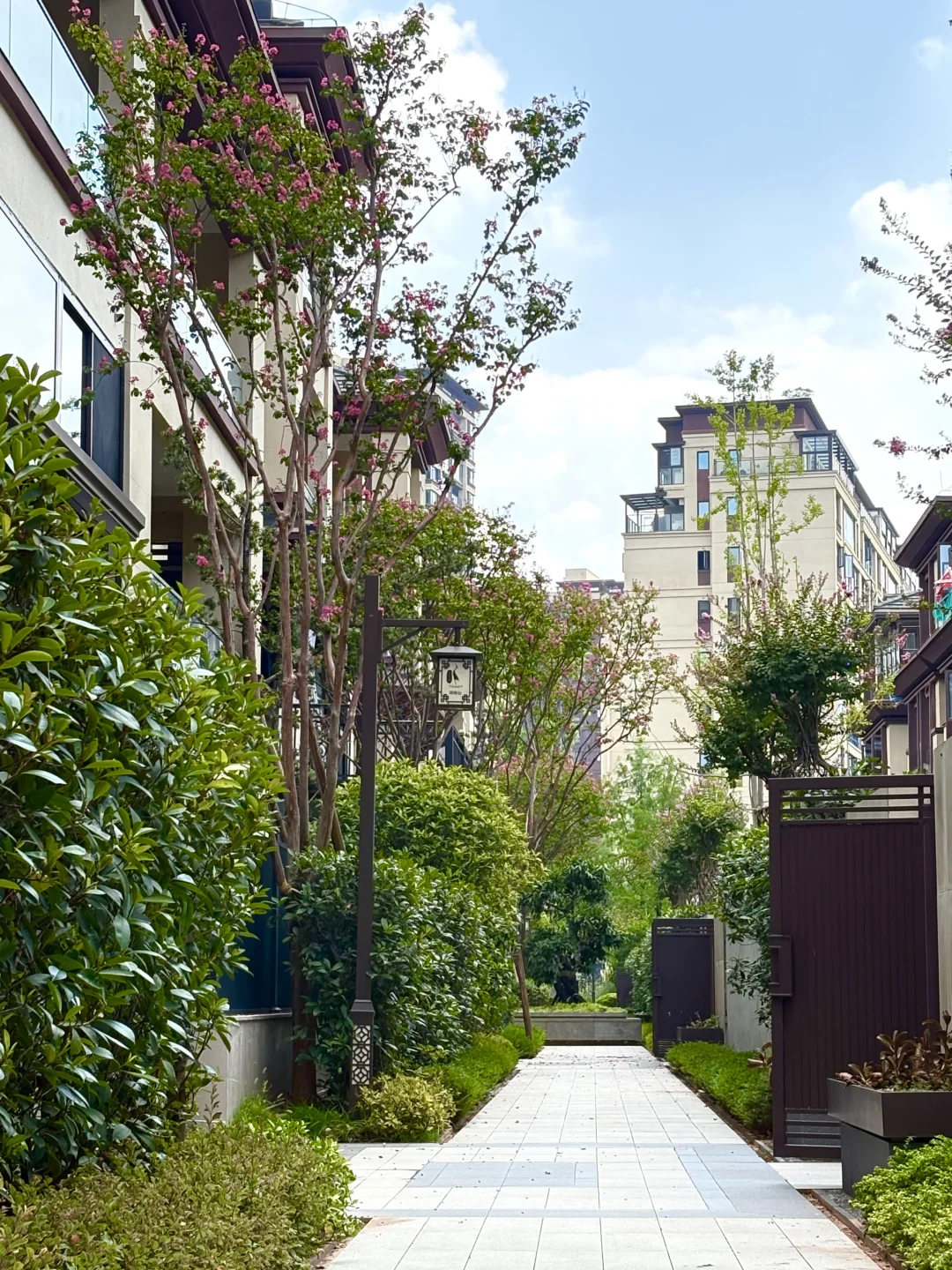 ❗️刺激 “跟踪”卉森同事的一天