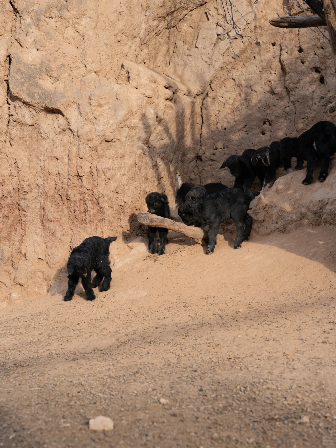 这里什么都不会发生