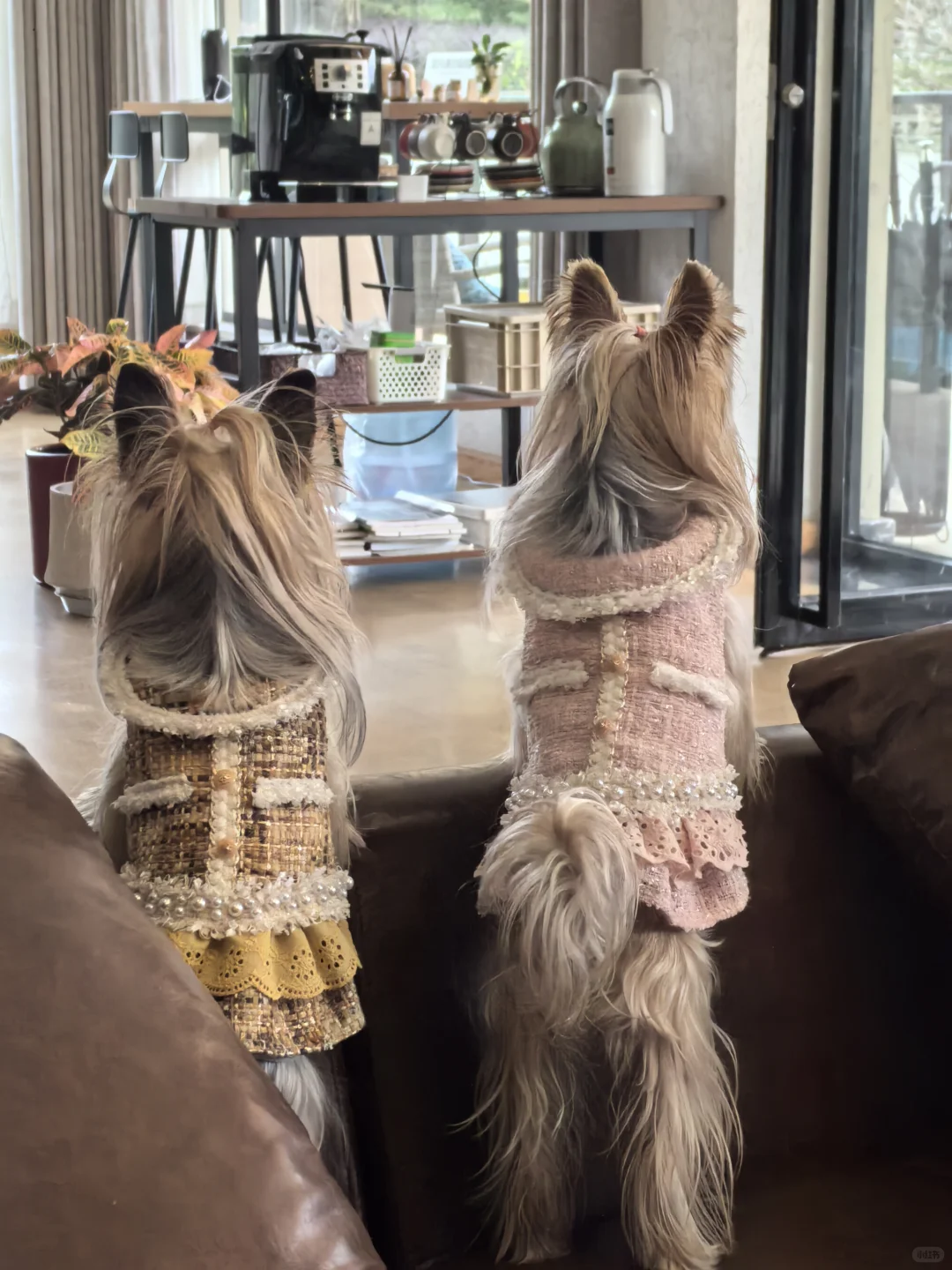 温暖牌小香风衣服，帮宝宝们实现穿衣自由6