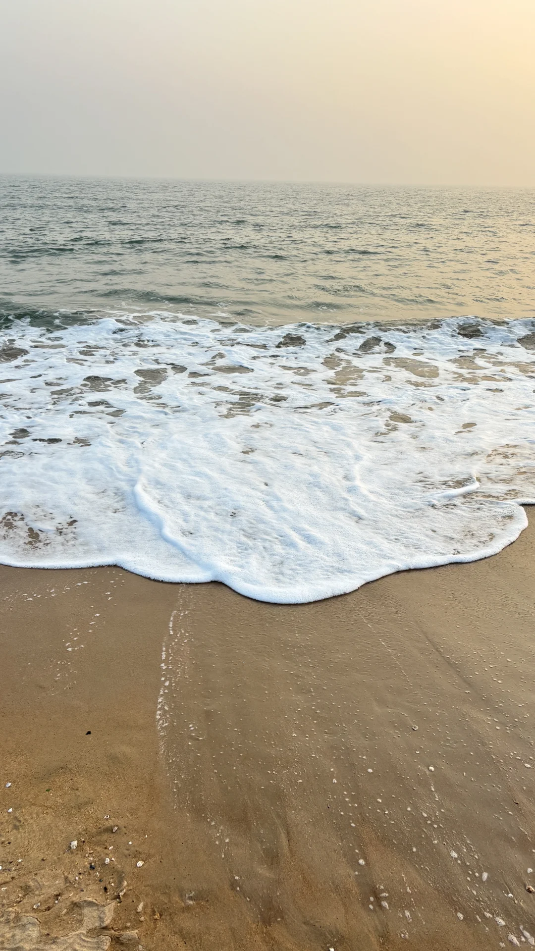 冬日海边喂鸥记