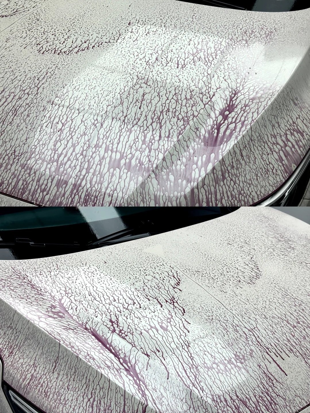 看看你的车有没有