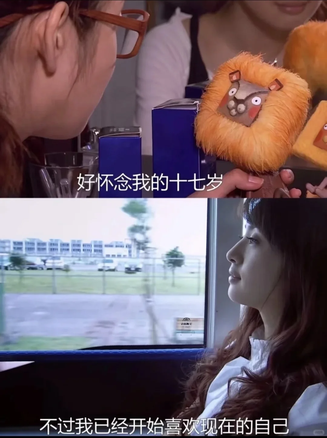 我还是没能放弃做一头方头的狮子