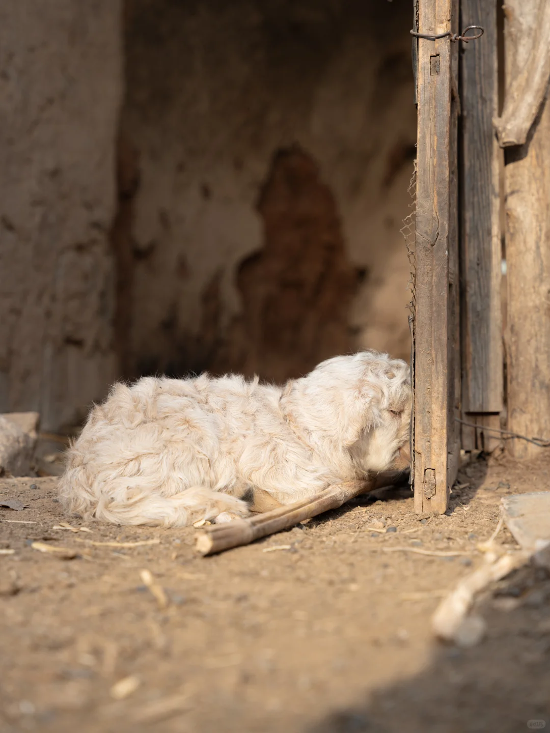 这里什么都不会发生